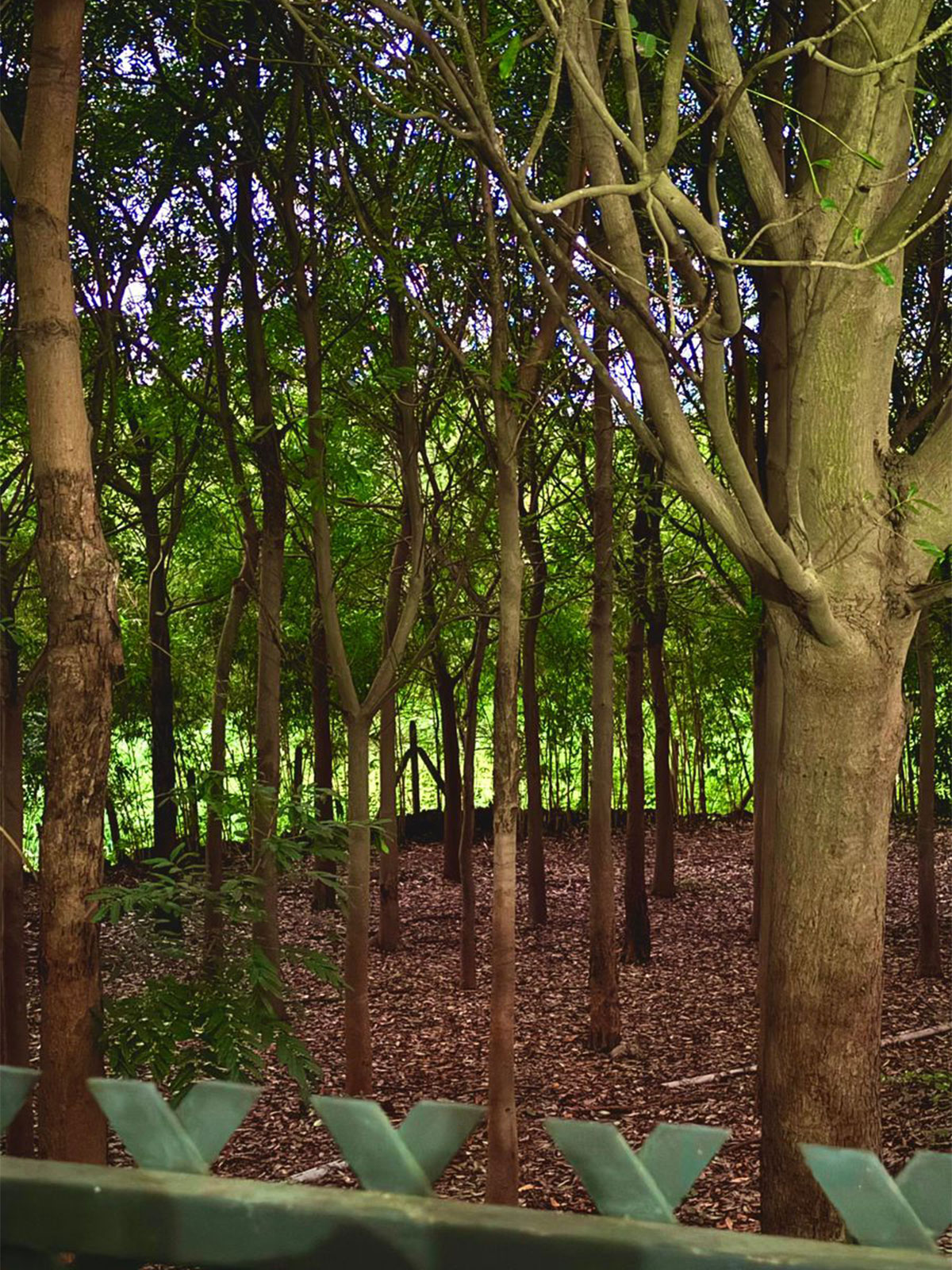 Heritage Room Interior